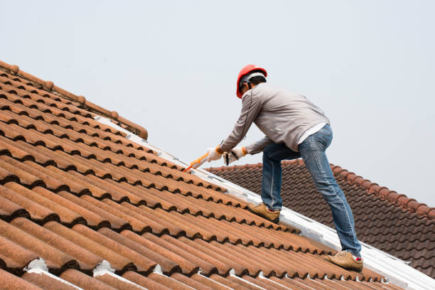 Best Commercial Roofing Services  in Kitty Hawk, NC